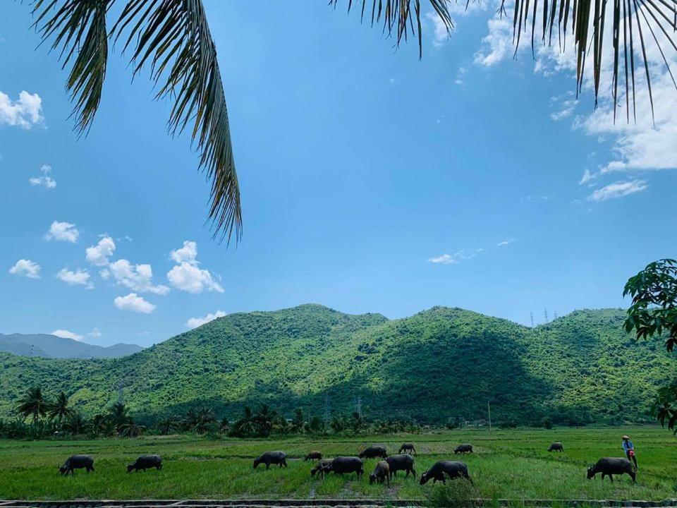 Ba Ho Green Field Homestay Ninh Hoa Exterior photo