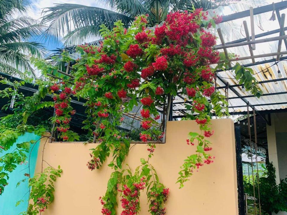 Ba Ho Green Field Homestay Ninh Hoa Exterior photo